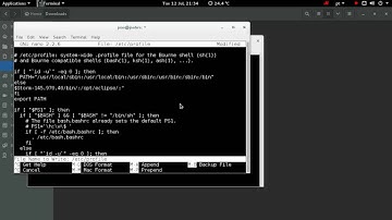 Como configurar variável de ambiente do Debian