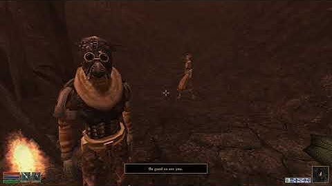 Chameleon in Morrowind be like