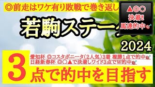 【若駒ステークス2024】◎前走は大きな敗因があり！今回巻き返しに期待したいあの馬から！