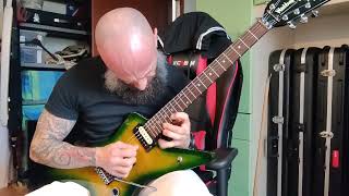 XYZ - Face Down In The Gutter guitar solo Washburn Dime Slime