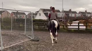 Ad ref 260504 - Video 2