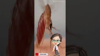 WHAT BLOOD TYPE DO MOSQUITOES LIKE? #Shorts