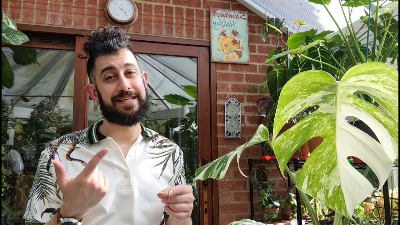 Liquid Gold Leaf in depth review and update