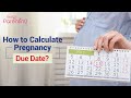 How to Calculate Your Pregnancy Due Date? (Easy Methods)