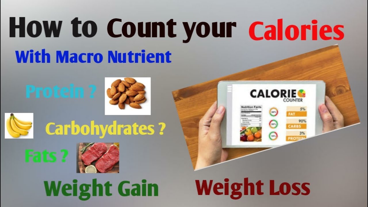 How to Count your Calories and Macro Nutrients in Easy Way|Fast Weight ...