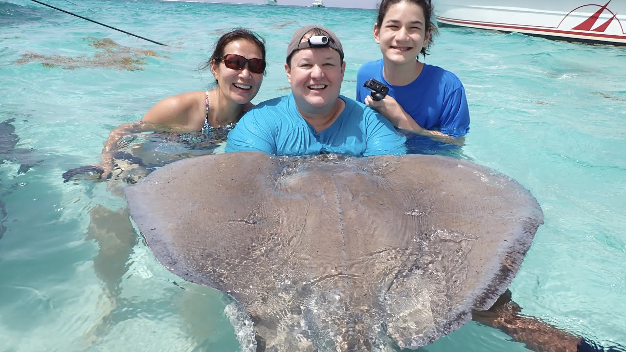 Is Stingray City in Grand Cayman worth it?!? | Liberty of the Seas Ep 4 -  YouTube