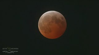 Did you see it? Blood worm moon total lunar eclipse