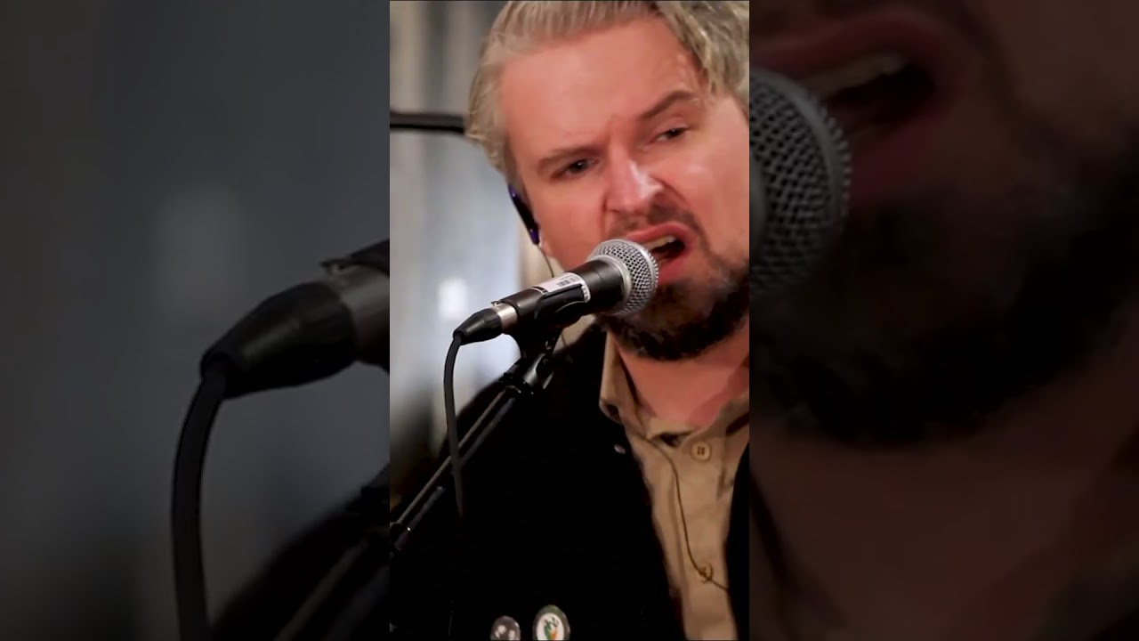 The Dandelion Few - The Stingin' Light