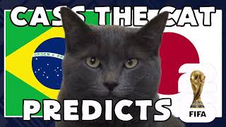 Brazil vs Japan | 2026 FIFA World Cup Round of 32 | Cass the Cat 🐾 Prediction