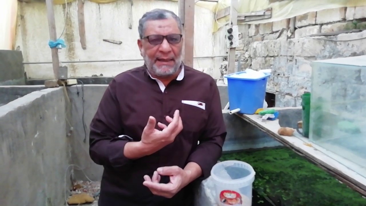 العلف وكيفيه العنايه بالزريعه ج6