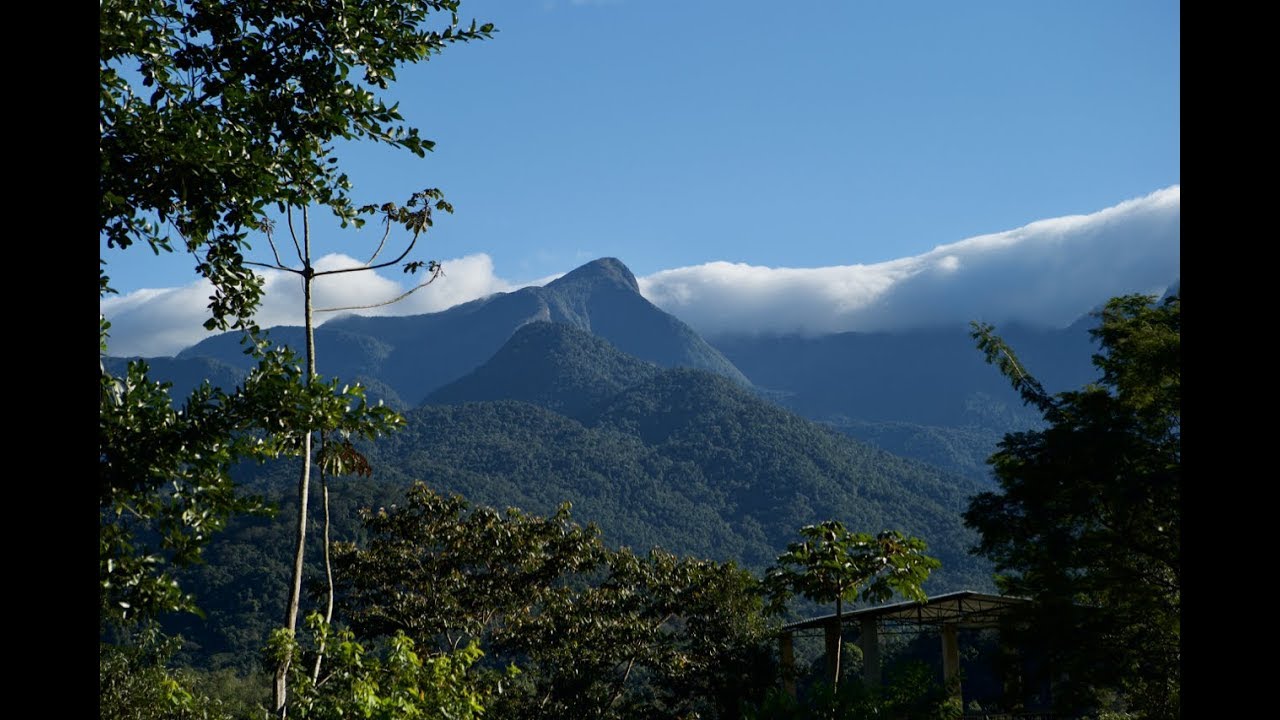 Brazil 2015 - The Atlantic Rainforest: Part 2: Serra dos Orgaos