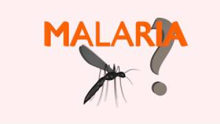 Best Malaria Test Application 2017 screenshot 2