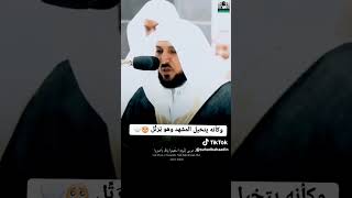 قصة موسى(عليه السلام) مع قومه يُرتلها وگأنه يتخيل المشهد إنظر إلى ملامح وجهه عند تلاوتها للغريد ??