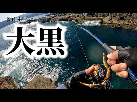 [Fukase Fishing] Fishing trip to Ebisu, Daikoku, Kajika, Owase City, Mie Prefecture (includes und...