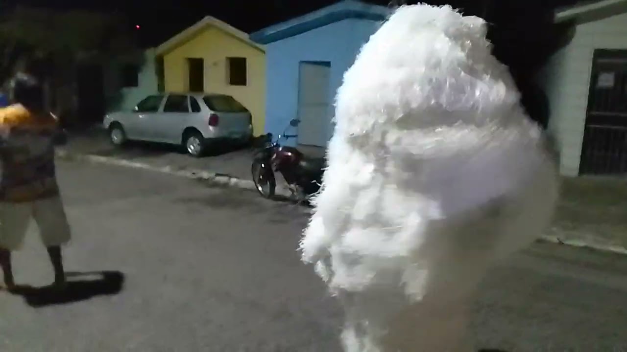 14 de fevereiro de 2026