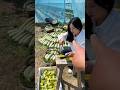 Why are you wasting the cucumbers by cutting them like this | Amazing Fresh Fruits #fruit #cucumber