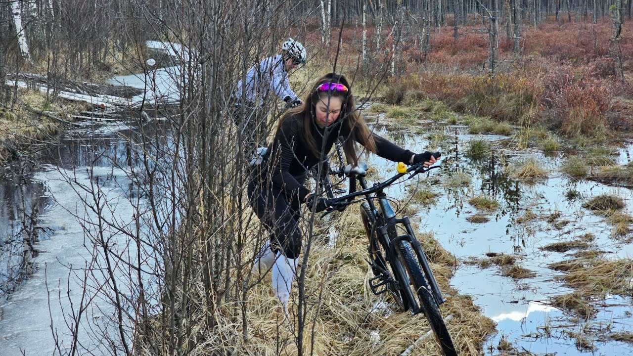 Тропою могучего зубра. Март.