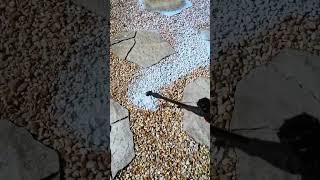 Save This Hack Petratools Sprayer For Petramax Rock Glue Application