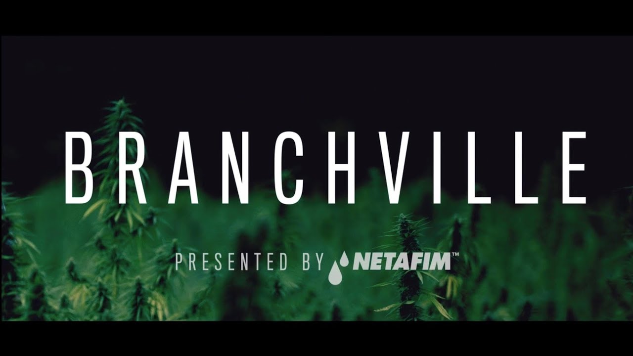 Branchville Series Trailer YouTube