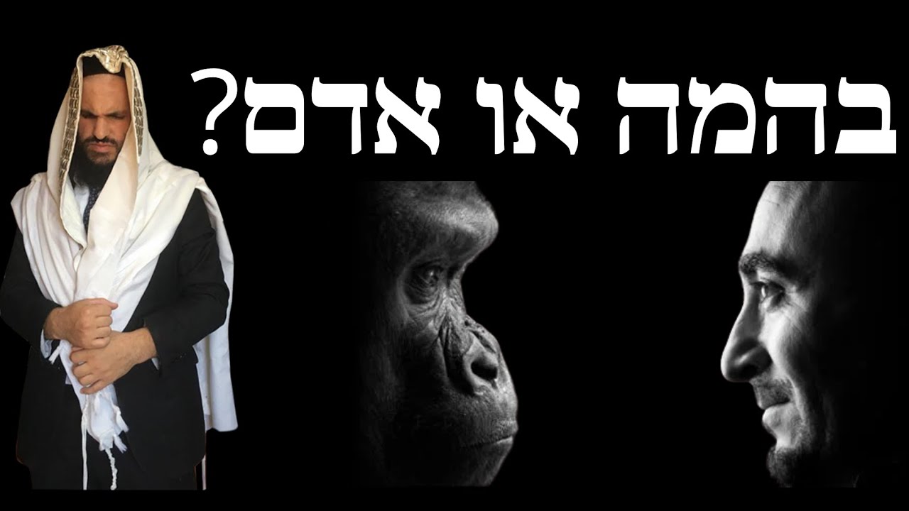 ?בהמה או אדם - YouTube