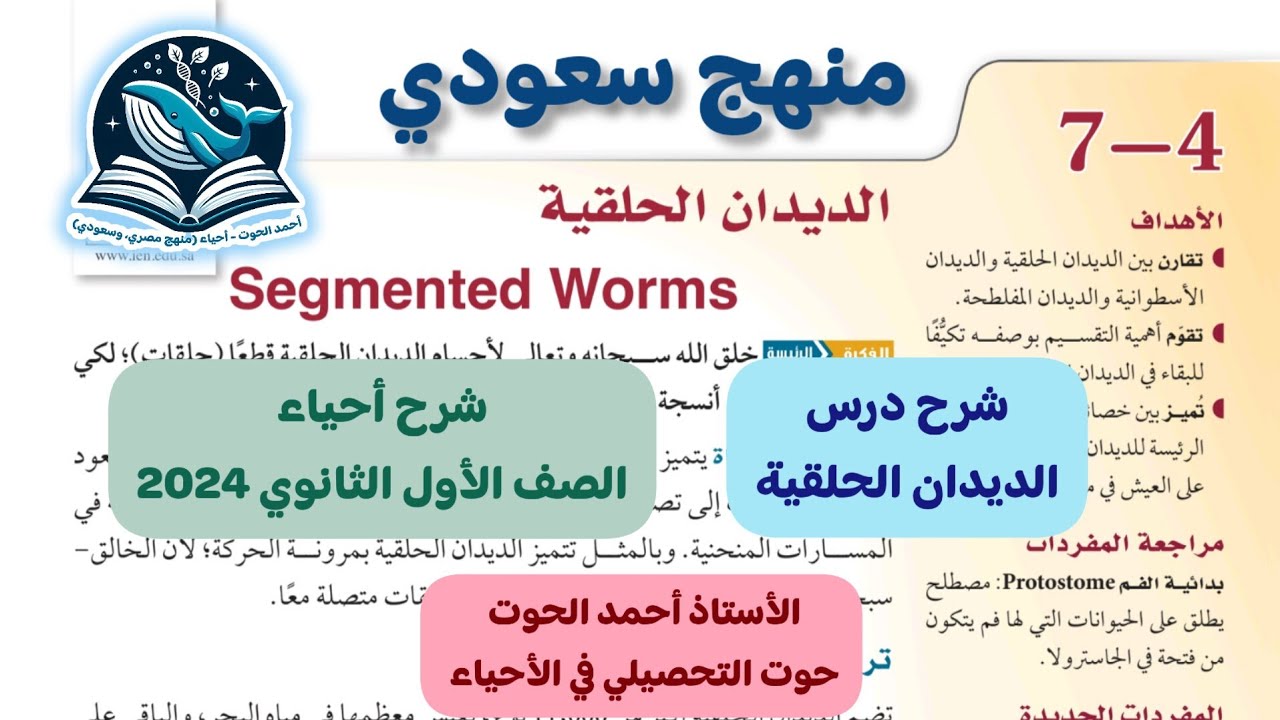 4-7 شرح درس الديدان الحلقية - أحياء الصف الأول الثانوي منهج سعودي 2024