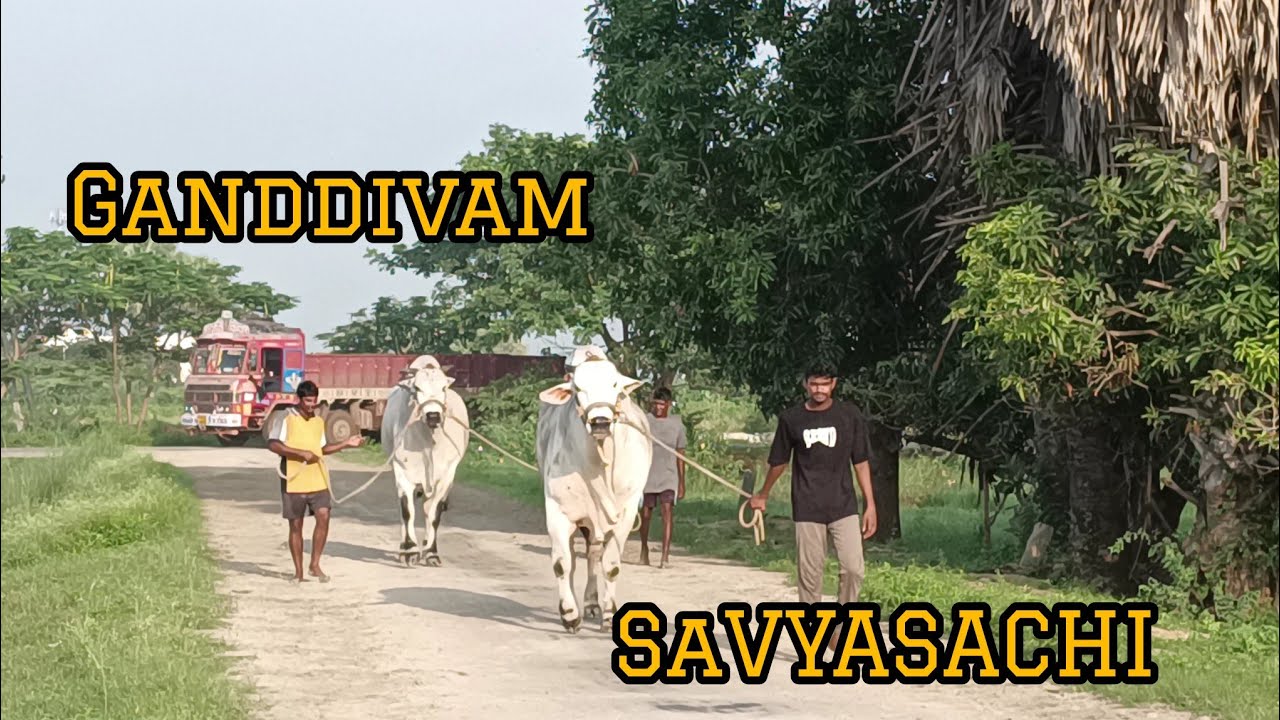 SSR BULLS🔥గండ్డీవం🤝సవ్యసాచి🔥