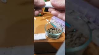 How to roll the perfect joint Pinoy style Philline Cannabis  Corona Cure