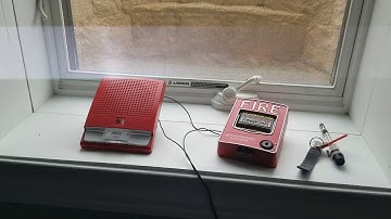 EST Genesis G4R-S7VM Speaker Strobe | Strobe Only Test