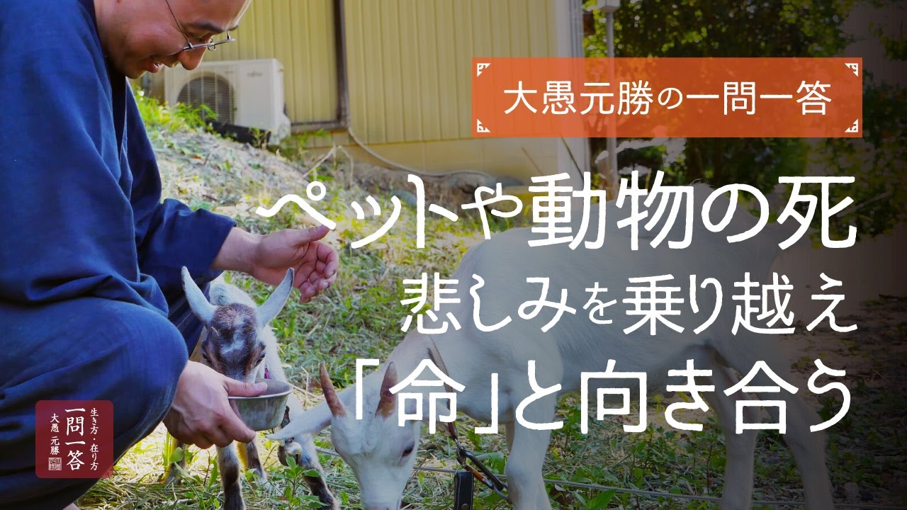 ペットや動物の死、悲しみを乗り越え 「命」と向き合う