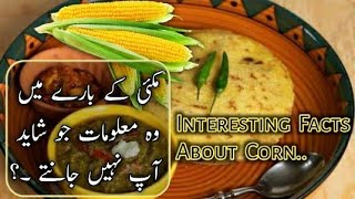 مکئ کے بارے میں وہ معلومات جو شاید آپ نہیں جانتے؟ || جوار کی حیرت انگیز فوائد || screenshot 4