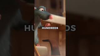 Did you know? Ratatouille Animators Went to COOKING SCHOOL?!