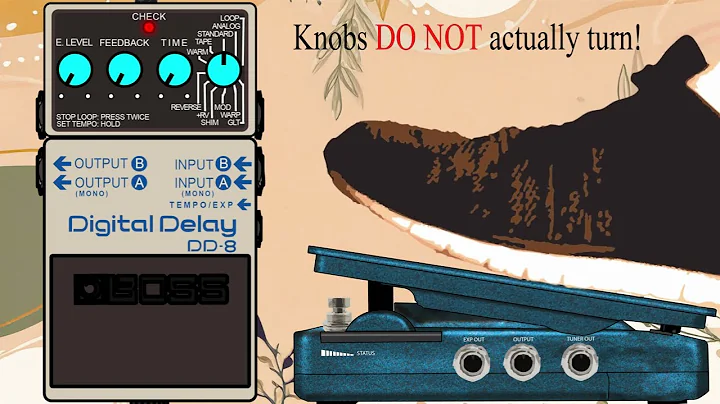 BOSS DD-8 and Hotone Soul Press II Expression Pedal: Animated Tips & Tricks