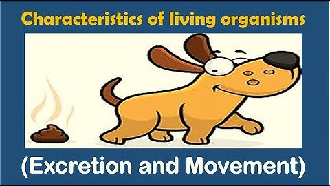 Excretion and Movement | Chapter-9 | Living organisms & their surroundings | Science | Class 6