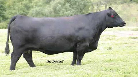 AKERS RUBY 2184 Lot 01