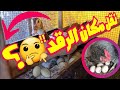 نقل مكان رقد البط سبب هجر الدجاج بيضة والرقد 