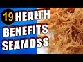 19 Amazing Health Benefits & Uses of Sea Moss For Skin, Hair Face & Weight Loss