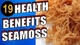 19 Amazing Health Benefits & Uses of Sea Moss For Skin, Hair Face & Weight Loss screenshot 5