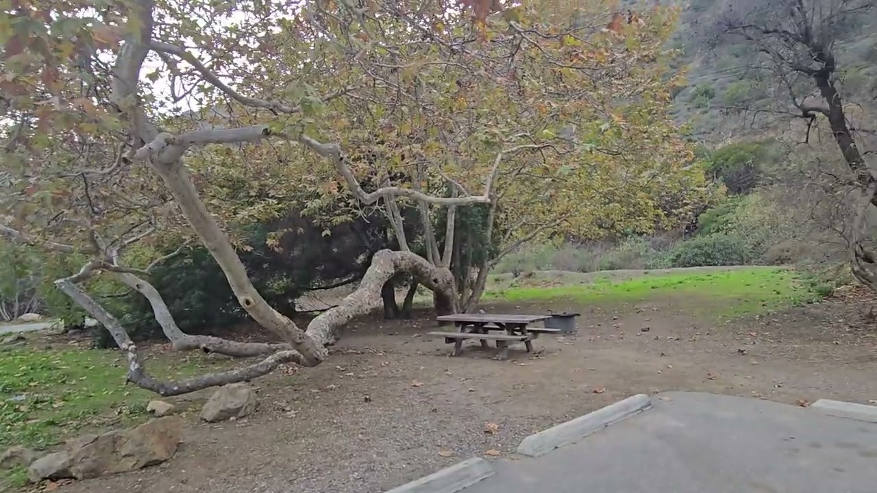 Leo carillo campground