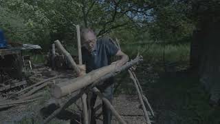 Bruce's Forest Garden: Willow Bark