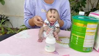 Hungry Dam Force Grabbing Milk Bottle For Drink So Fast