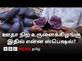 Purple Potatoes: இந்த விவசாயிகள் ஊதா உருளைக்கிழங்கை பயிரிடுவது ஏன்?