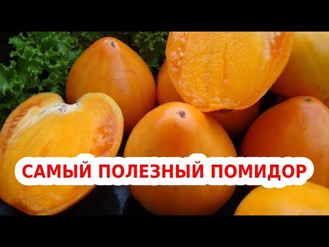 Самые урожайные желтые томаты с потрясающим вкусом