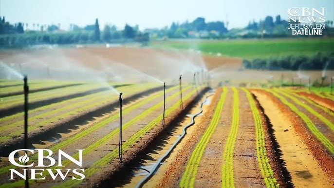 Southern Israel S Farmers Strive To Make Desert Bloom Again After Hamas Terror Destruction