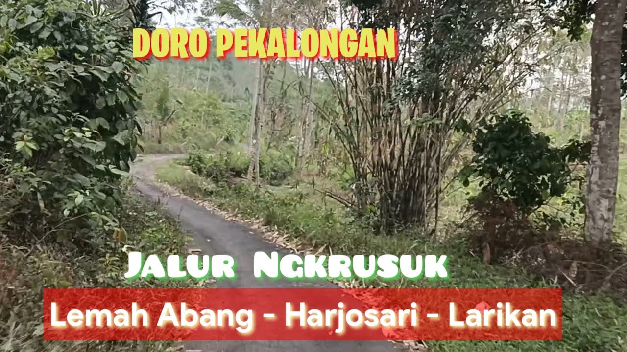 Jalan Kampung dari Lemah Abang, Harjosari sampai Larikan Doro Kabupaten Pekalongan