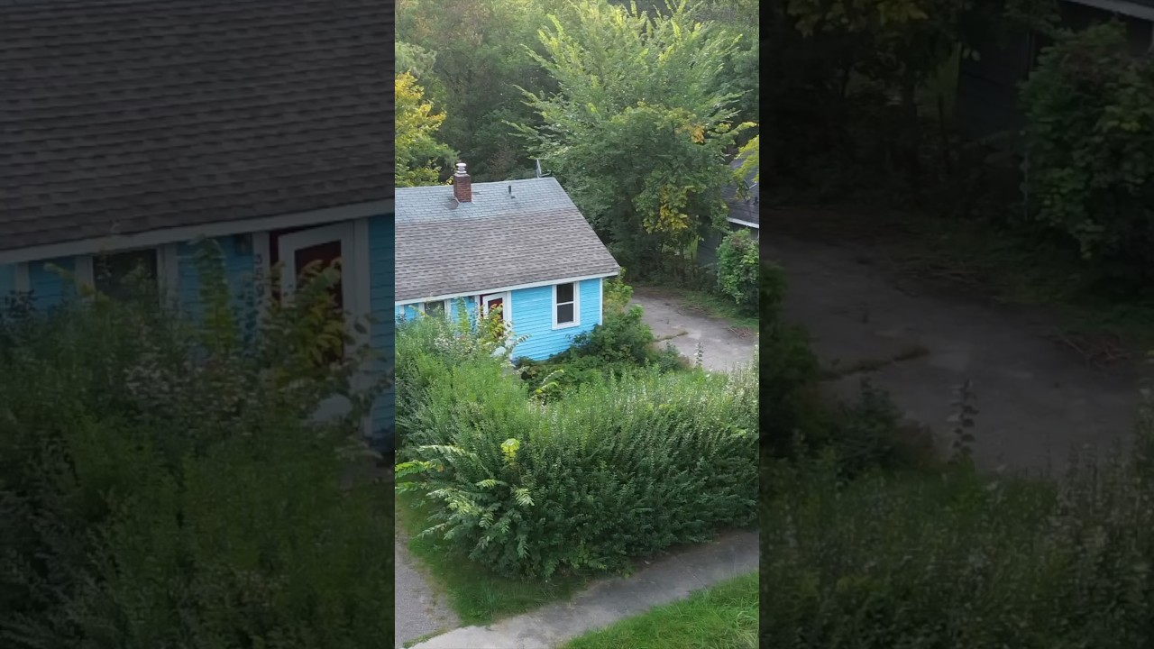 Crazy hedges knocked down! Property transformation. 