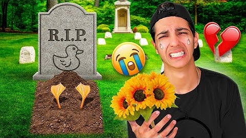 MEU PATO DE ESTIMAÇÃO MORREU | R.I.P PATETO
