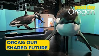 On the Go with Joe at OMSI exhibit Orcas: Our Shared Future