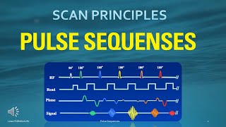 MRI Board Review  MRI Physics, MRI Scanning, Pulse Sequences