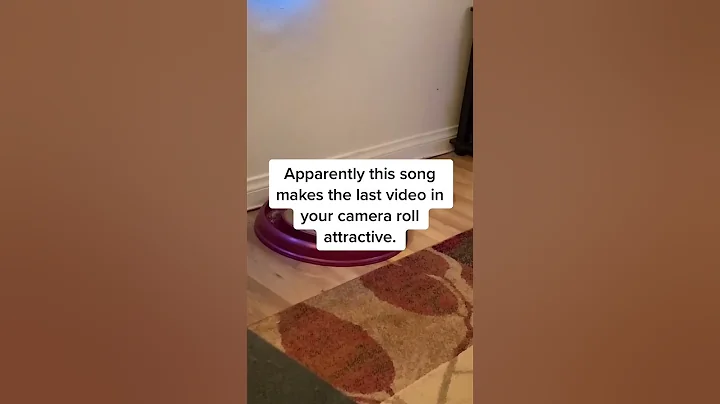 Watch the video about Cats take over the screen