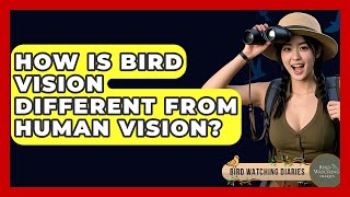 How Is Bird Vision Different From Human Vision? - Bird Watching Diaries